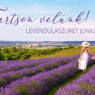 Levendulaszüret Kőröshegyen 2020 Levendulaszüret Kőröshegyen 2020