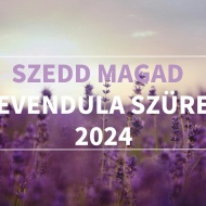 Levendula szüret Baracs 2023 Levendula szüret Baracs 2023