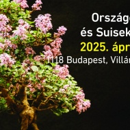 Bonsai kiállítás 2025 Budapest. Országos Bonsai és Suiseki  Kiállítás