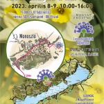 Szedd magad nárcisz program 2023 Balaton. Húsvéti nárcisz szüret Monoszlón Szedd magad nárcisz program 2023 Balaton. Húsvéti nárcisz szüret Monoszlón