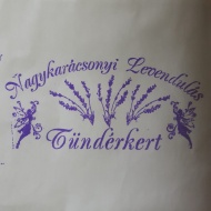 Levendula szedés Nagykarácsony 2023 Levendula szedés Nagykarácsony 2023