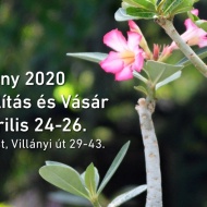 Dísznövény Szakkiállítás és Vásár 2020. Tavaszkert a Budai Arborétumban Dísznövény Szakkiállítás és Vásár 2020. Tavaszkert a Budai Arborétumban