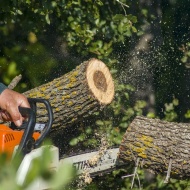 Fakitermelő verseny 2024. Stihl Országos Fakitermelő versenysorozat