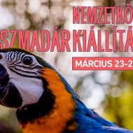 Nemzetközi Díszmadár Kiállítás 2019 Zalaegerszeg Nemzetközi Díszmadár Kiállítás 2019 Zalaegerszeg