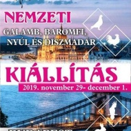 Nemzeti galamb-, baromfi-, nyúl- és díszmadár kiállítás 2019 Nemzeti galamb-, baromfi-, nyúl- és díszmadár kiállítás 2019
