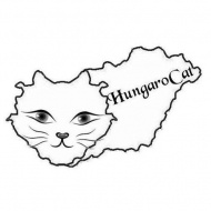 Macskakiállítás 2019. HungaroCat Macska Világkiállítás Orosháza Macskakiállítás 2019. HungaroCat Macska Világkiállítás Orosháza