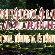 Szentjánosbogár tánc az Alcsúti Arborétumban, éjszakai fényjáték 2018 Szentjánosbogár tánc az Alcsúti Arborétumban, éjszakai fényjáték 2018