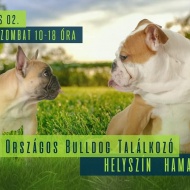 Bulldog találkozók 2019 Velence Bulldog találkozók 2019 Velence