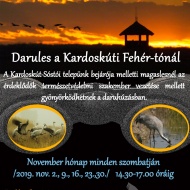 Darules, őszi madárvonulás 2019. Darunézőben a Kardoskúti Fehértavon Darules, őszi madárvonulás 2019. Darunézőben a Kardoskúti Fehértavon