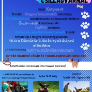 Kutyás nap a Csillagvárban Balatonszentgyörgyön Kutyás nap a Csillagvárban Balatonszentgyörgyön
