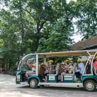 Állatkerti kirándulás a Nyíregyházi Állatparkban, kisbuszos kocsikázás a harminc hektáros parkban Állatkerti kirándulás a Nyíregyházi Állatparkban, kisbuszos kocsikázás a harminc hektáros parkban