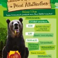 Medve napok Pécsen! Medveles és medvés programok a Pécsi Állatkertben Medve napok Pécsen! Medveles és medvés programok a Pécsi Állatkertben