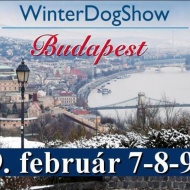 Winter Dog Show 2019 Winter Dog Show 2019