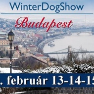 Winter Dog Show 2020 Budapest Winter Dog Show 2020 Budapest