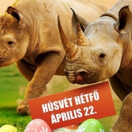 Húsvét a győri állatkertben 2019 Húsvét a győri állatkertben 2019