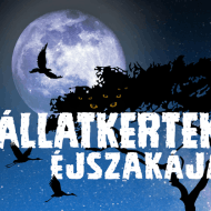 Állatkertek Éjszakája Hortobágy 2019 Állatkertek Éjszakája Hortobágy 2019