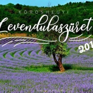 Levendulaszüret Kőröshegyen 2019 Levendulaszüret Kőröshegyen 2019