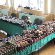 Regionális kaktusz és más pozsgás növények kiállítása és vására 2019 Bogács Regionális kaktusz és más pozsgás növények kiállítása és vására 2019 Bogács