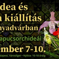 Orchidea és Bromélia Kiállítás és Vásár 2020 Vajdahunyadvár Budapest Orchidea és Bromélia Kiállítás és Vásár 2020 Vajdahunyadvár Budapest