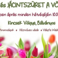 Tulipán és jácint szüret 2019 Kincsek-völgye, Bálványos Tulipán és jácint szüret 2019 Kincsek-völgye, Bálványos