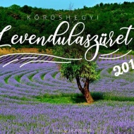 Levendula Fesztivál Kőröshegy 2019 Levendula Fesztivál Kőröshegy 2019