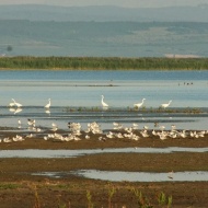 Fertő-Hanság Nemzeti Park programok 2019 Fertő-Hanság Nemzeti Park programok 2019