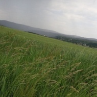Zöldsport Egyesület túrák, kirándulások 2019 Zöldsport Egyesület túrák, kirándulások 2019