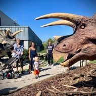 Dinoszaurusz park látogatás Budapesten, élmény- és oktatópark élethű, mozgó, hangot adó ősállatokkal