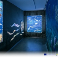 Őserdei ösvényeken, földtörténeti kiállítás a miskolci Pannon-tenger Múzeumban