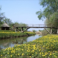 Ébredő természet túra áprilisban, virág túra a Tisza-tónál a Szabics kikötő szervezésében Ébredő természet túra áprilisban, virág túra a Tisza-tónál a Szabics kikötő szervezésében