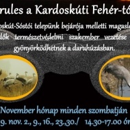 Vezetett túrák a darvak nyomában a Fehér-tónál 2019 Vezetett túrák a darvak nyomában a Fehér-tónál 2019