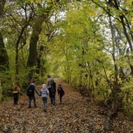 Kontyvirág tanösvény Lakitelek, ökotúra a Duna-Tisza-közén, a Kiskunsági Nemzeti Parkban