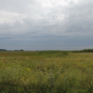 Pimpó tanösvény Orgovány, ökotúra a Kiskunsági Nemzeti Parkban, az Orgoványi réteken