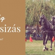 Lovaskocsis túra a Csillagvárban Lovaskocsis túra a Csillagvárban