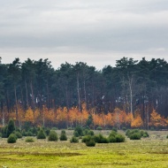 Barcsi Borókás tanösvény, ökotúra a Duna-Dráva Nemzeti Parkban Barcsi Borókás tanösvény, ökotúra a Duna-Dráva Nemzeti Parkban