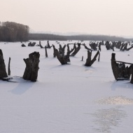 Tisza-tavi jégtúra, szállással a Tisza Balneum Wellness Hotelben Tisza-tavi jégtúra, szállással a Tisza Balneum Wellness Hotelben