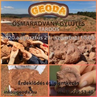 Ősmaradvány élménytúra, gyűjts több millió éves ősmaradványokat egy igazi működő bányában a GEODÁVAL Ősmaradvány élménytúra, gyűjts több millió éves ősmaradványokat egy igazi működő bányában a GEODÁVAL