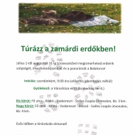 Zamárdi túra 2020. Ismerje meg a zamárdi erdők szépségét! Zamárdi túra 2020. Ismerje meg a zamárdi erdők szépségét!