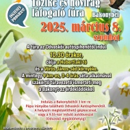 Tavasz hírnökei túra 2020. Tőzike és hóvirág túra Bakonybél környékén Tavasz hírnökei túra 2020. Tőzike és hóvirág túra Bakonybél környékén