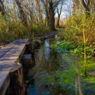 Tisza-tavi túrák Szabics Kikötő szervezésében, barangold be velünk az Örvényi Pákász Tanösvényt!