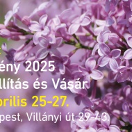 Arborétum séta 2025 Budapest. Üde tavaszi élményprogram cseresznye-virágzáskor a Budai Arborétumban