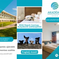 Kutyás üdülés Balatonfüreden, töltse wellness pihenését házi kedvencével az Akadémia Sporthotelben