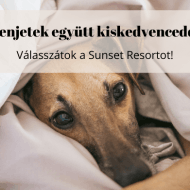 Fonyódi szállás, pihenj együtt kiskedvenceddel a Sunset Resort - Lakeside Boutique Apartments-ben Fonyódi szállás, pihenj együtt kiskedvenceddel a Sunset Resort - Lakeside Boutique Apartments-ben
