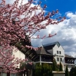Egri Bikavér Ünnepe wellness szállással a Hunguest Hotel Flóra szállodában Egri Bikavér Ünnepe wellness szállással a Hunguest Hotel Flóra szállodában