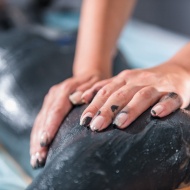 Akciós wellness Hévízen, hévízi iszapmasszázs last minute szállással a Palace Hotelben Akciós wellness Hévízen, hévízi iszapmasszázs last minute szállással a Palace Hotelben