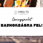 1 éjszakás wellness kikapcsolódás Tatán, reggelis ellátással az Öreg-tó Hotelben 1 éjszakás wellness kikapcsolódás Tatán, reggelis ellátással az Öreg-tó Hotelben