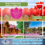 Tulipánszüret szállással és fürdőzéssel a kiskunmajsai Jonathermálban Tulipánszüret szállással és fürdőzéssel a kiskunmajsai Jonathermálban