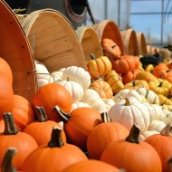 Halloween hétvégi wellness pihenés programokkal a soproni Szieszta Hotelben Halloween hétvégi wellness pihenés programokkal a soproni Szieszta Hotelben