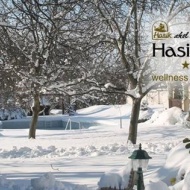 Bakonyi karácsony wellness szállodában a családi programokkal a Hasik Hotelben Bakonyi karácsony wellness szállodában a családi programokkal a Hasik Hotelben