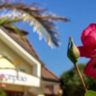 Majális Móron wellness szállodánkban családi programokkal a Hétkúti Wellness Hotelben Majális Móron wellness szállodánkban családi programokkal a Hétkúti Wellness Hotelben